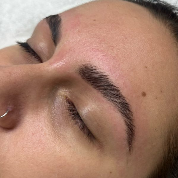 Side-on close-up of a laminated brow with the eye closed: the hairs brushed straight up and set, with a feathered top edge.